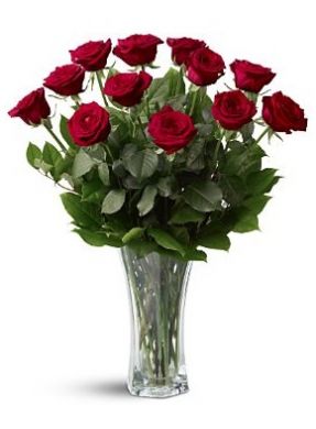 roses location every day items one dozen premium red roses